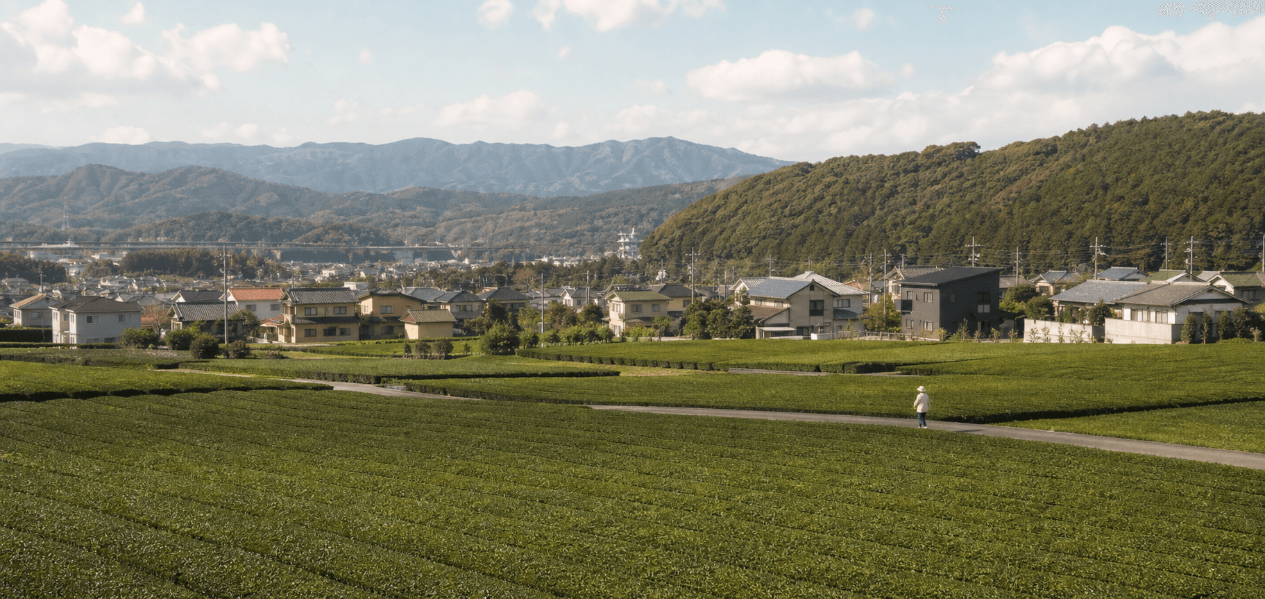 藤枝の茶畑と穏やかな風景